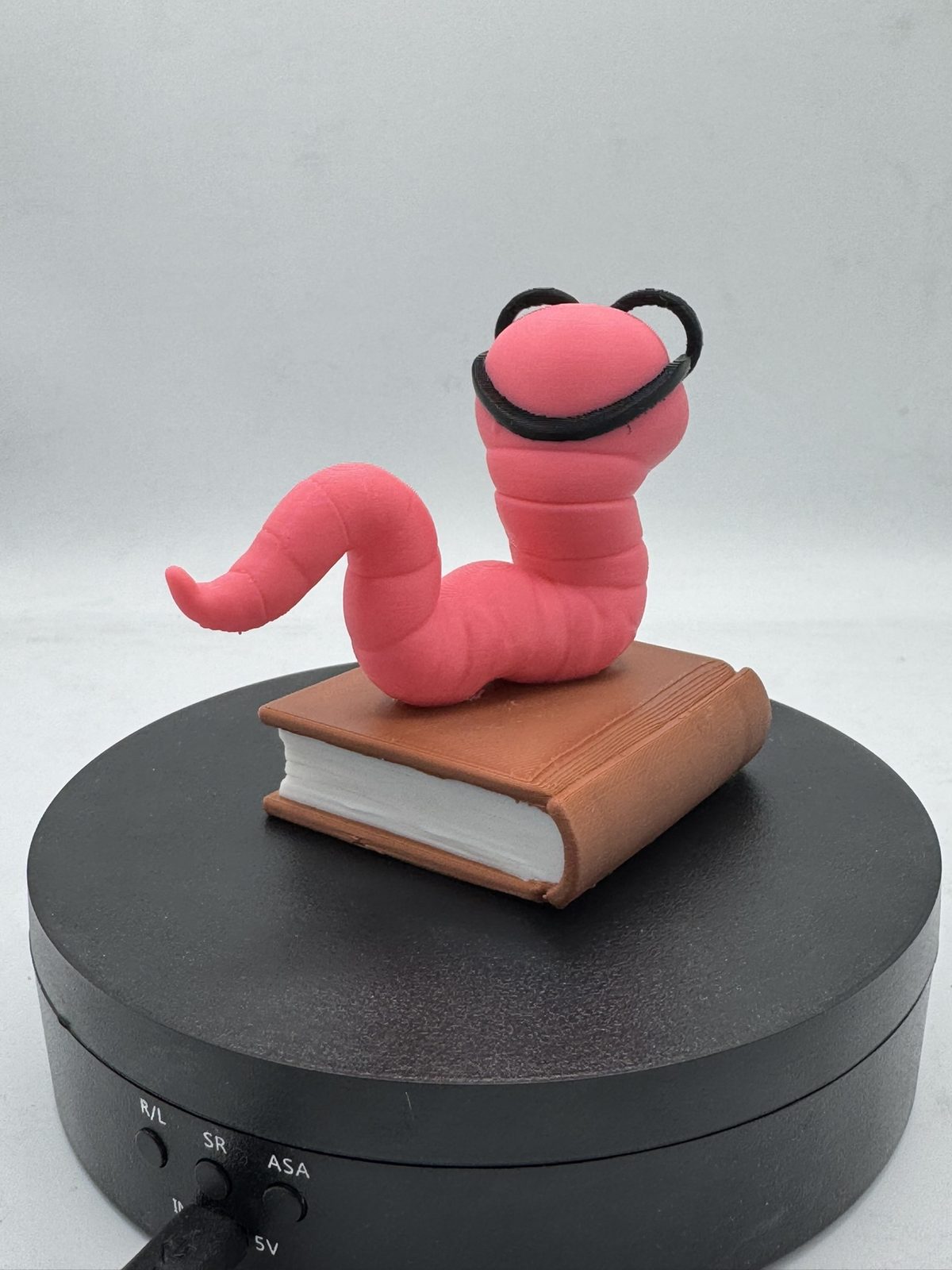 #752 Chubby Bookworm — vue 9