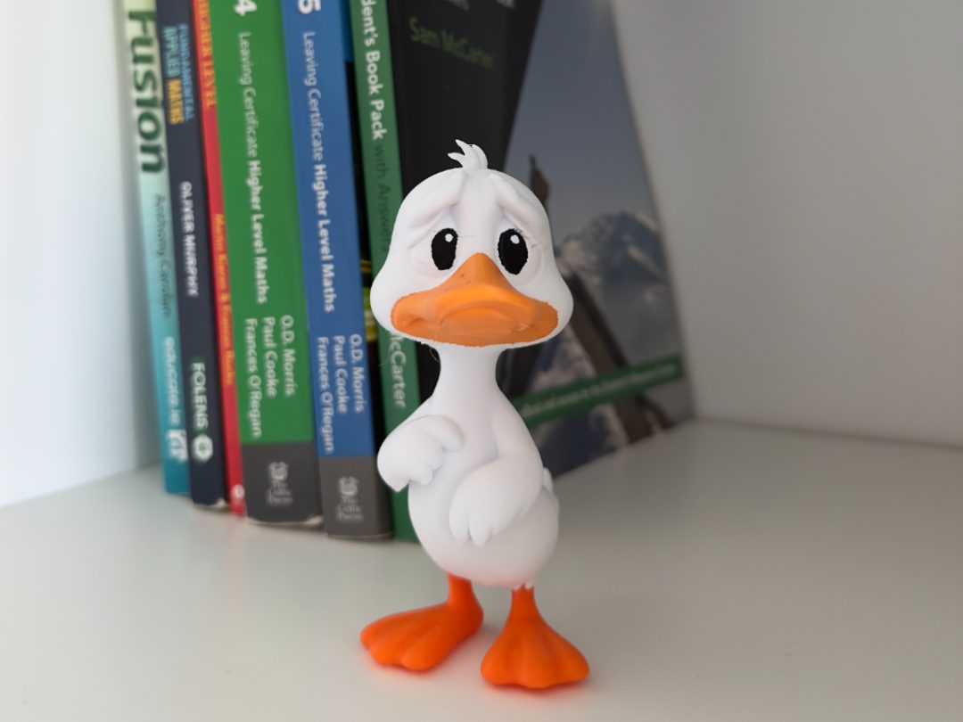 #798 The Ugly Duckling — vue 1
