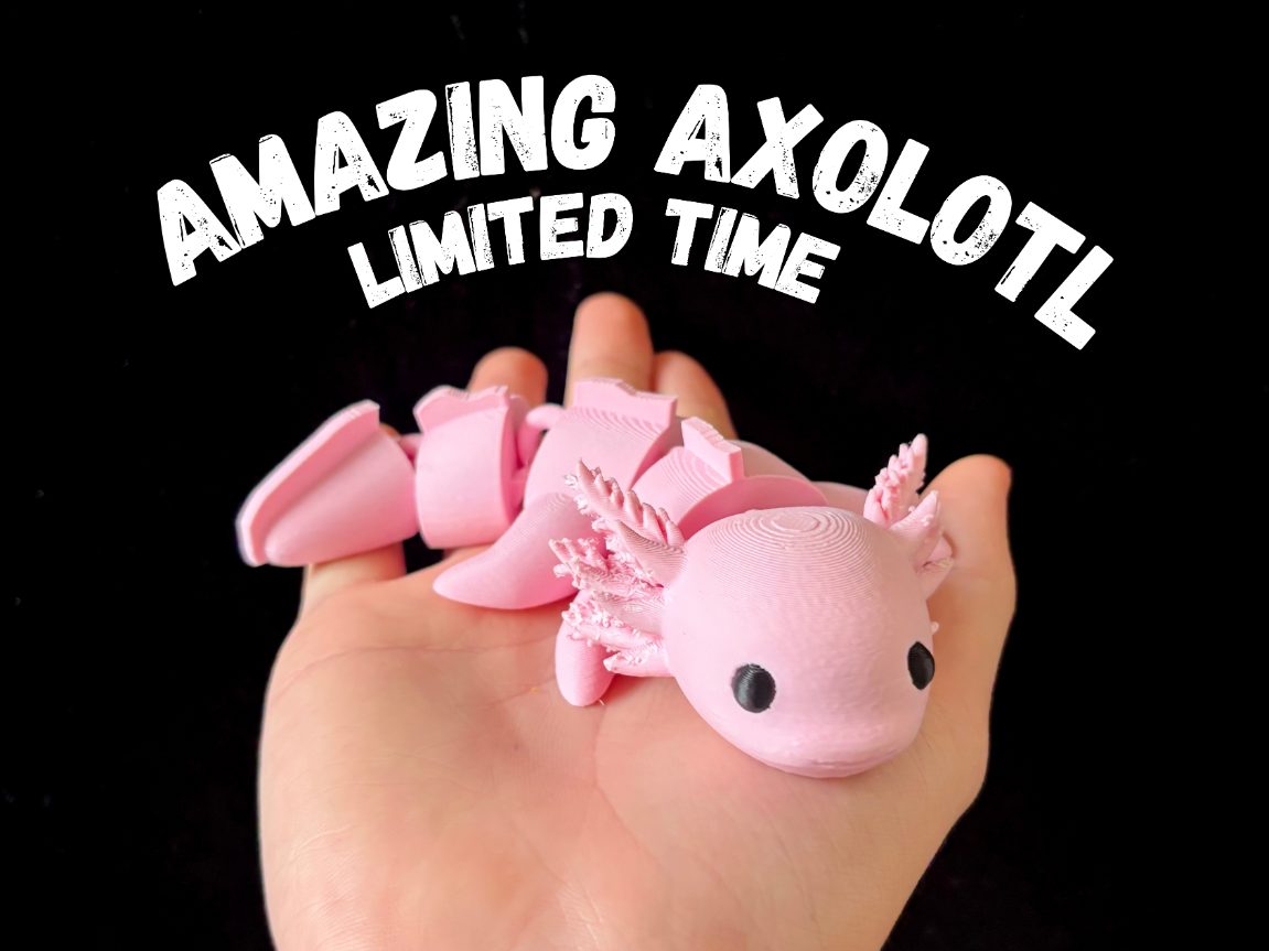 Amazing Axolotl - Articulated Fidget Axolotl — vue 1