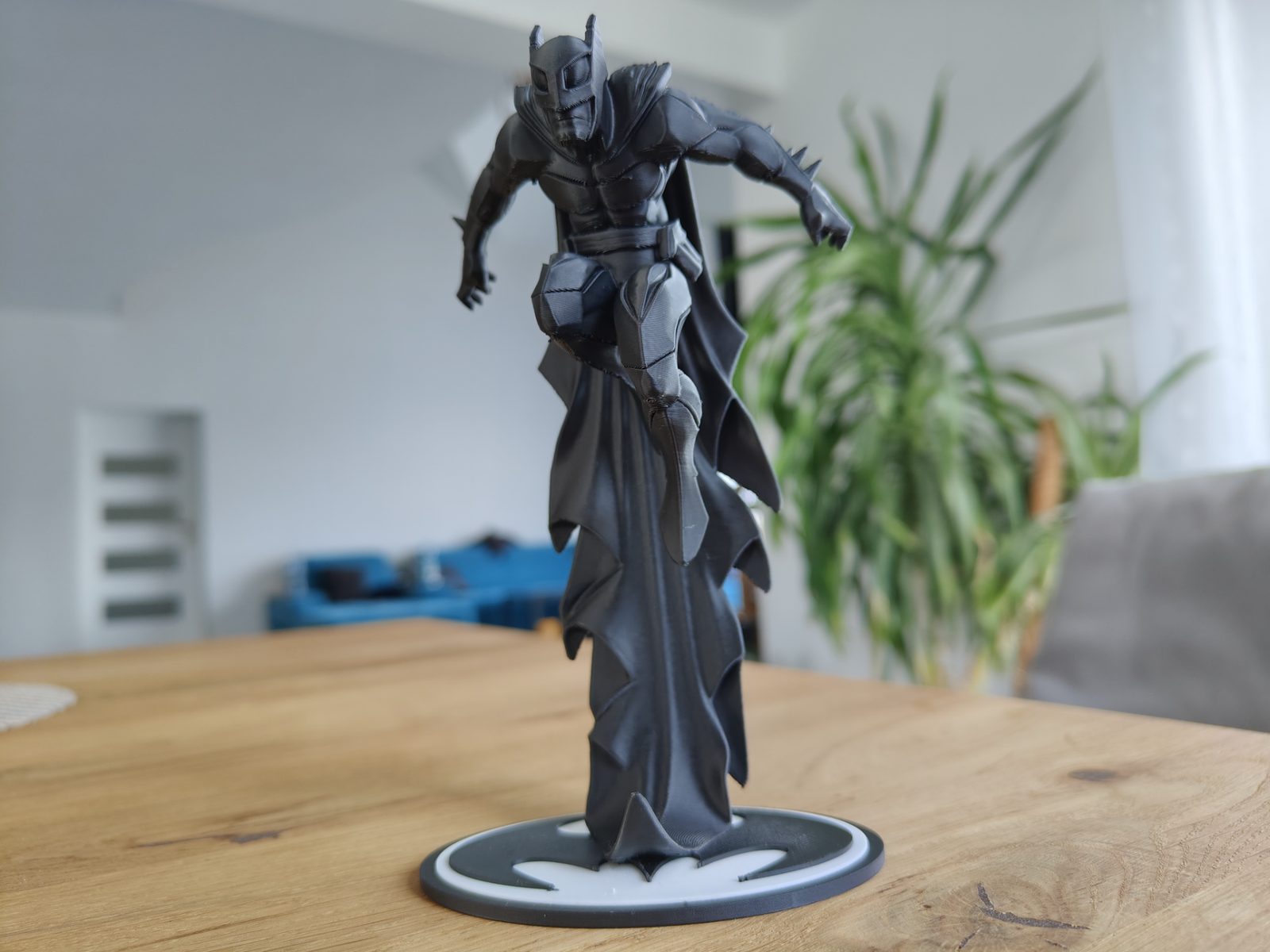 Batman: ’s Guardian — vue 1