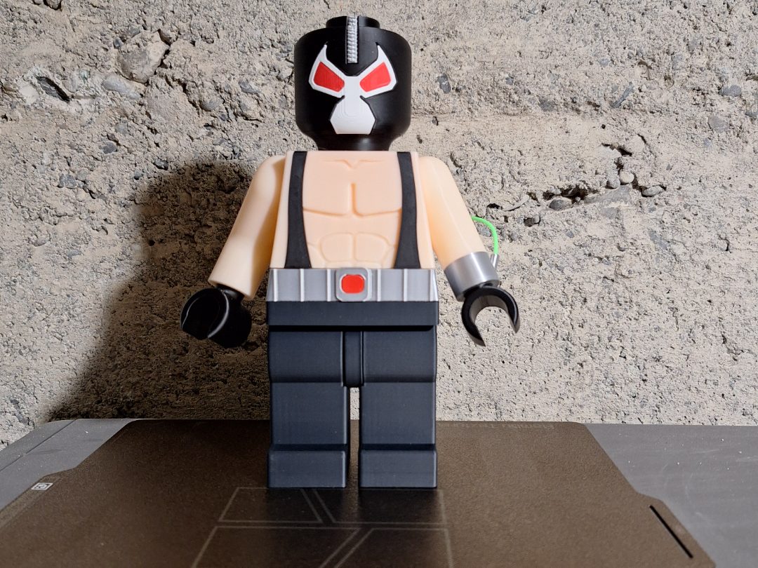 BIG BRICK BANE — vue 1