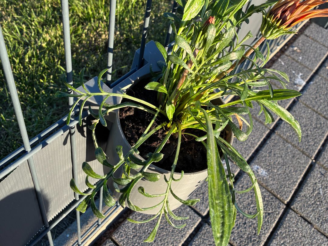 Blumentopf für Doppelstabmatten Zaun — vue 1