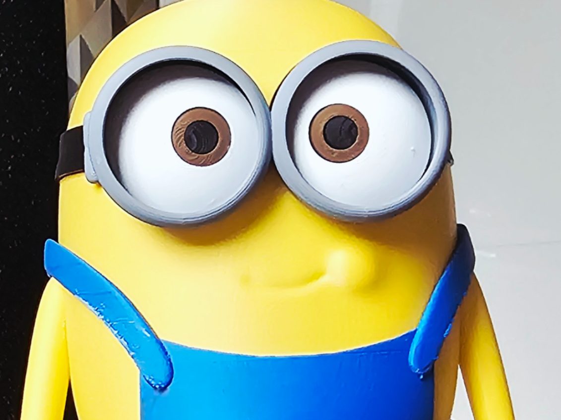 BOB Minion — vue 1