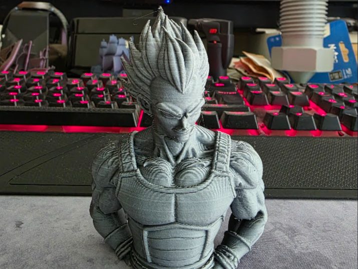 bust vegeta — vue 1