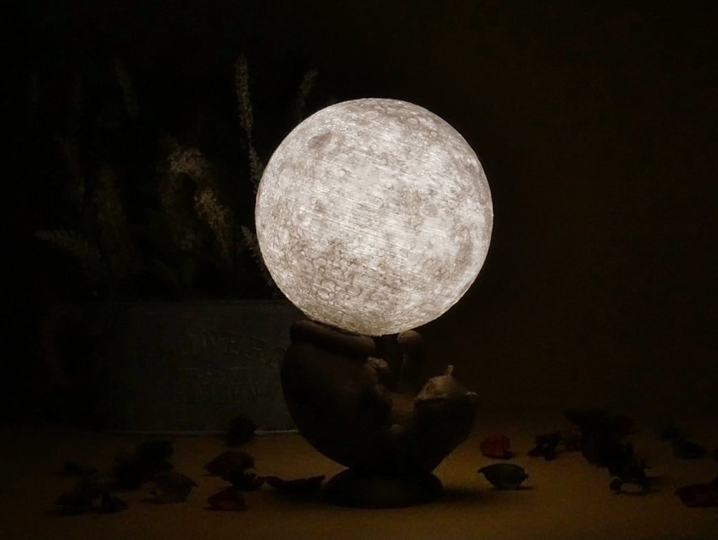 Cat Lamp — vue 2