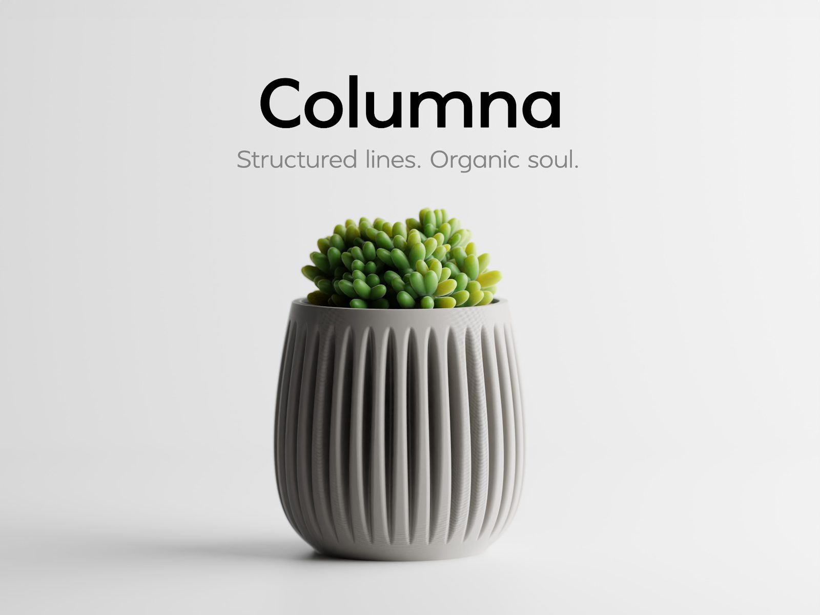 Columna – Structured lines. Organic soul — vue 1