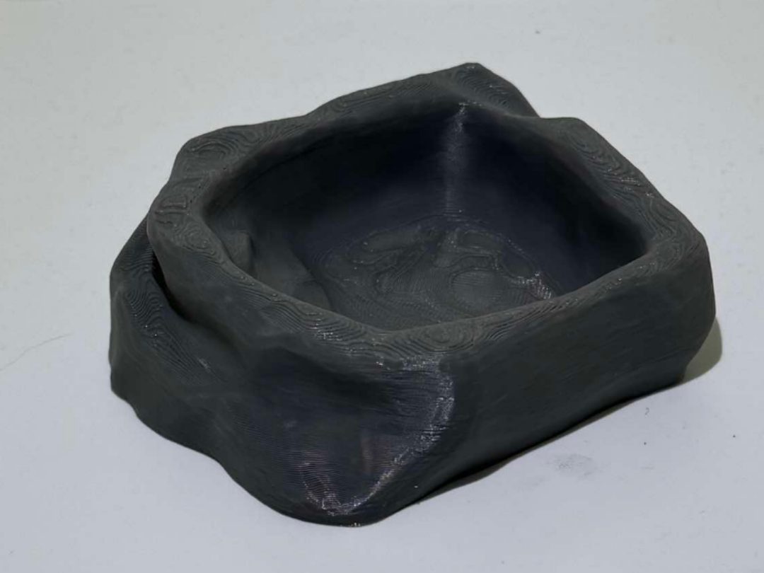 Friendly Reptile Dish — vue 1