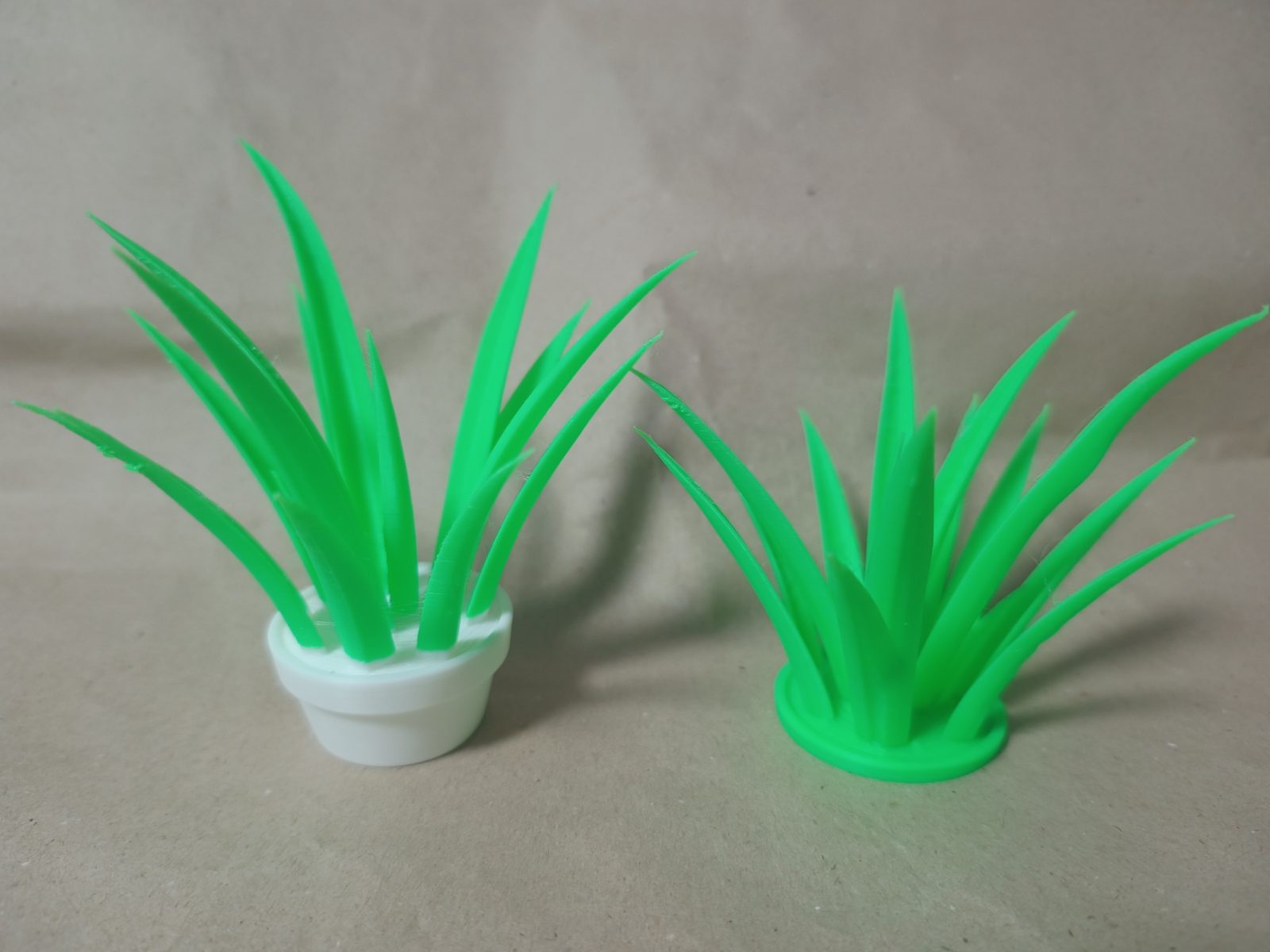 Grass, Plant, Weed — vue 1