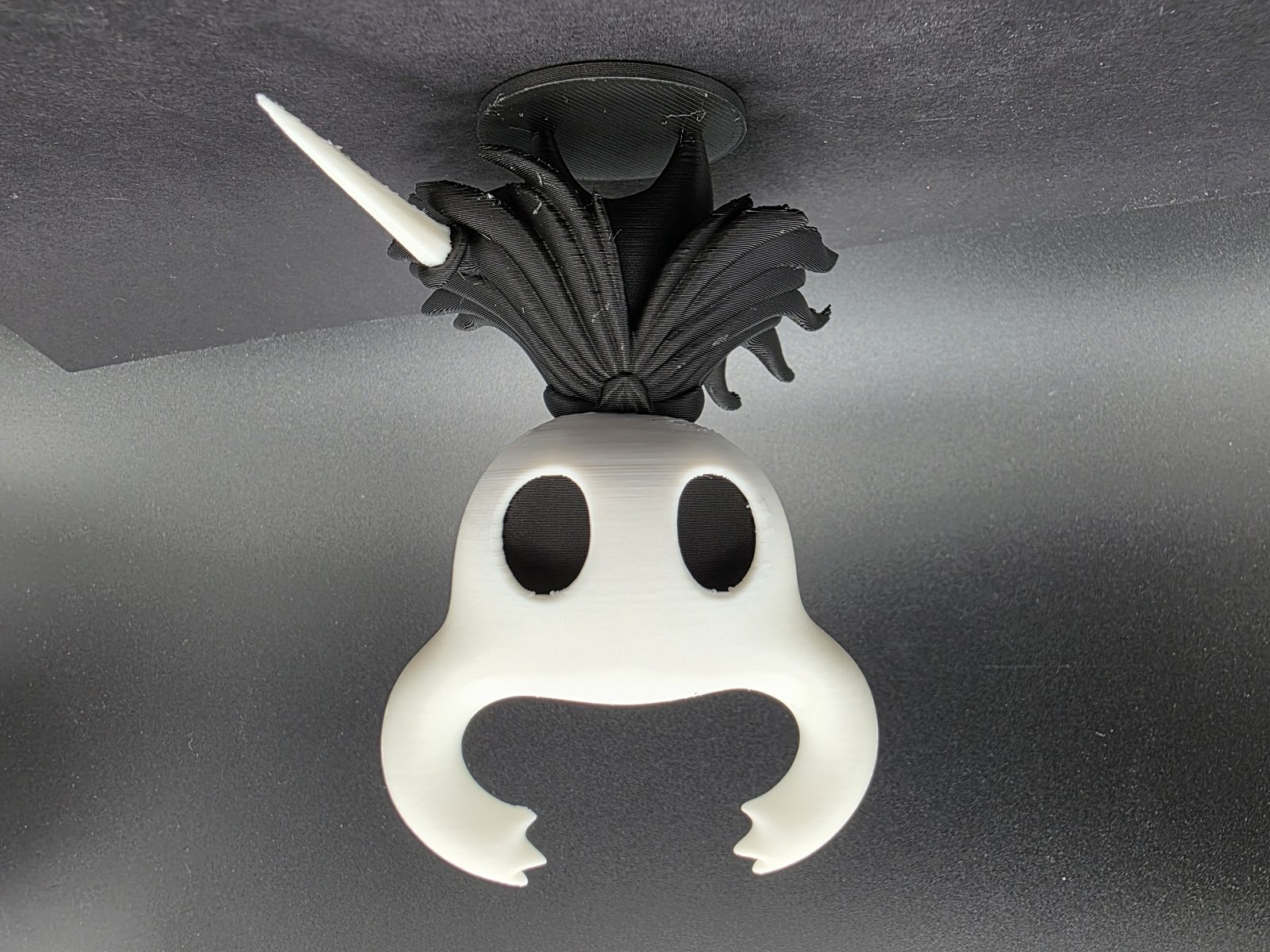Hollow Knight AMS — vue 1