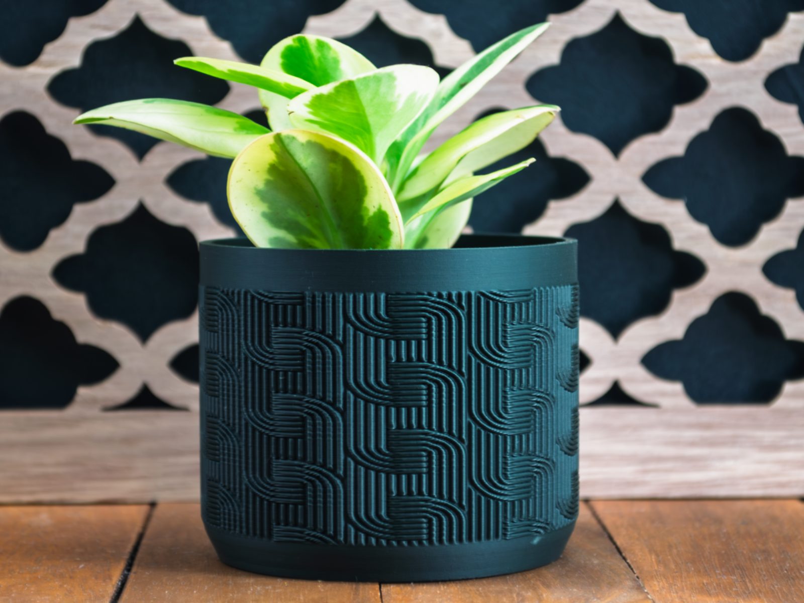 Indoor Plant Pot — vue 1