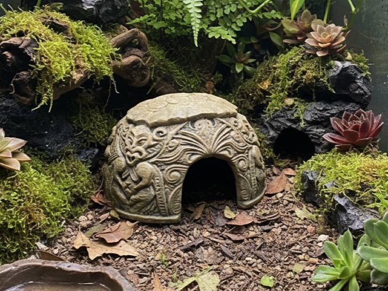 Maori Dome Hideout — vue 1