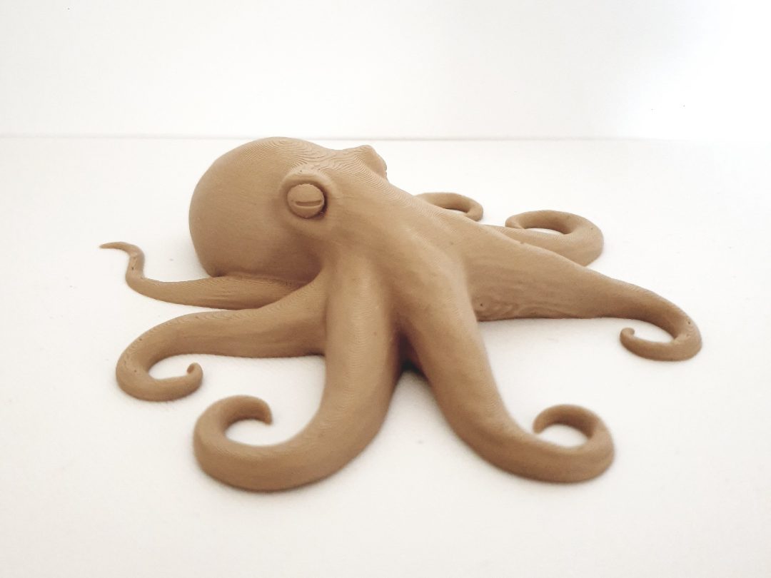 Octopus Sculpture — vue 1