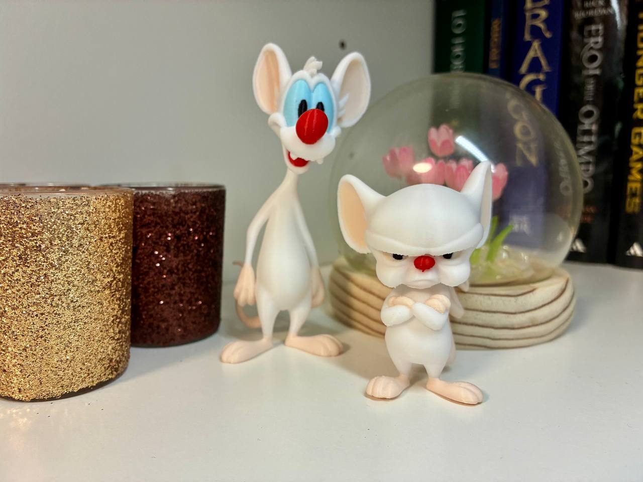 Pinky and the Brain — vue 1