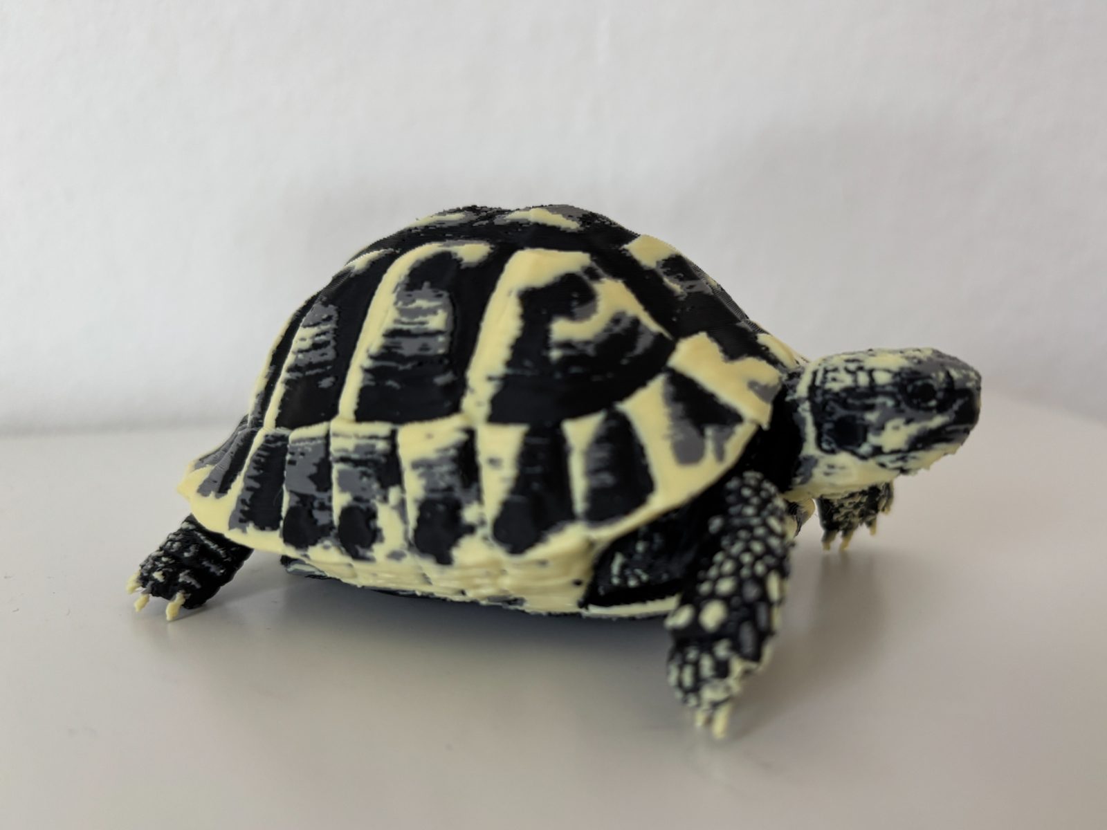 Realistische Schildkröte | 3-Farben-Print — vue 1