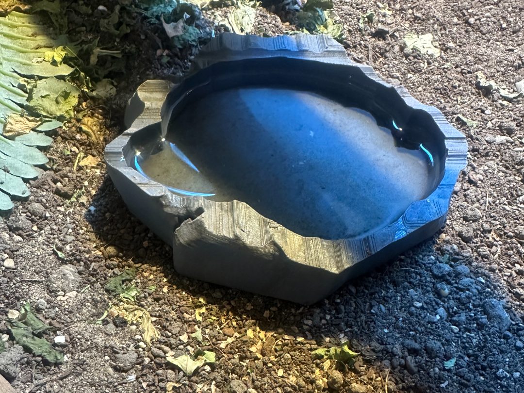 reptile lizard food water bowl dish — vue 1