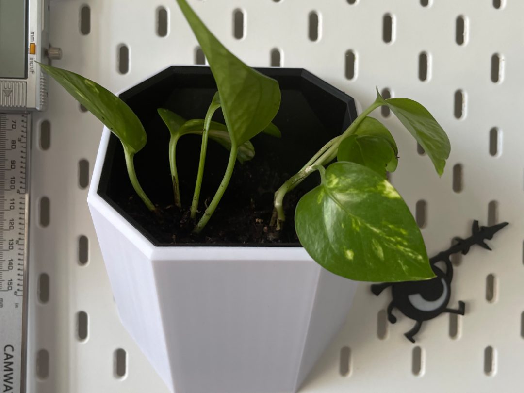 Skadis pot — vue 1