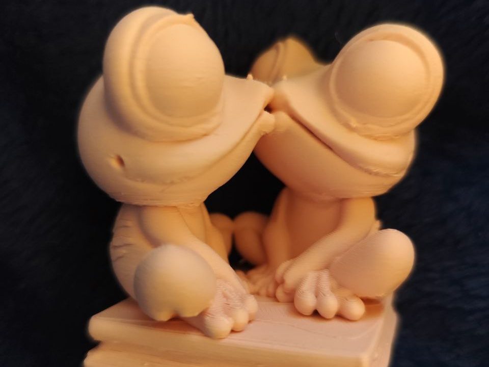 süßes Froschpaar — vue 1
