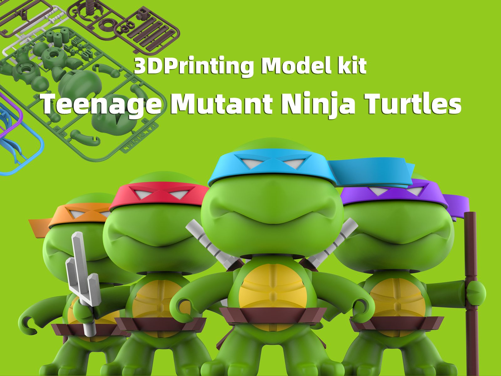 Teenage Mutant Ninja Turtles — vue 1