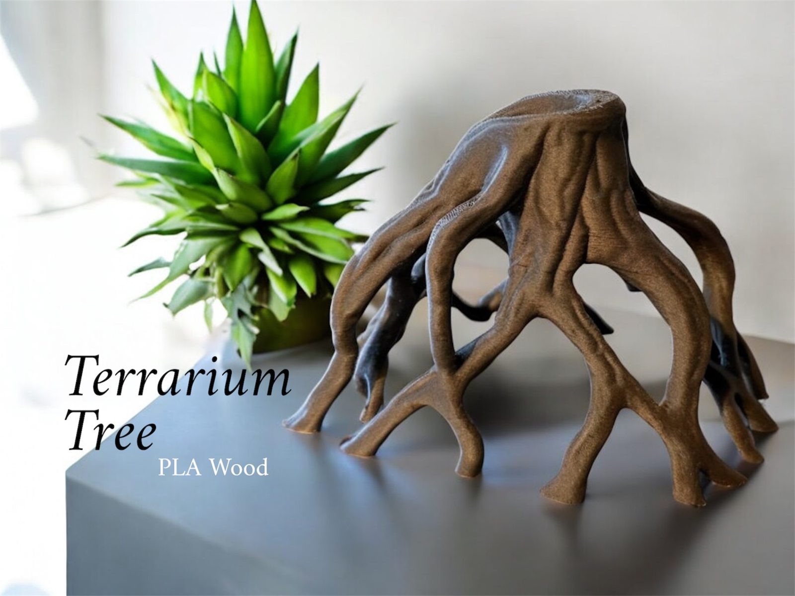 Terrarium Tree — vue 1