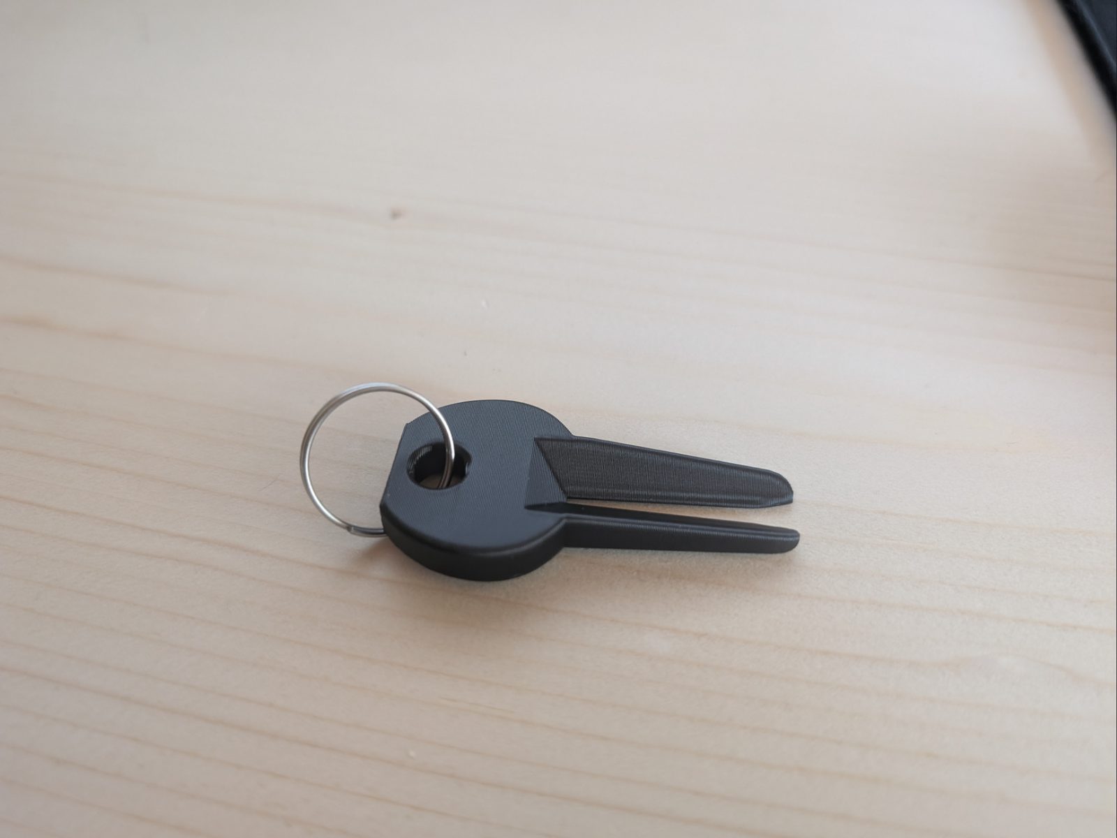 Tick Remover - Compact Keychain Tool — vue 1
