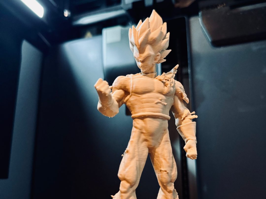 Vegeta SSJ Blue — vue 1