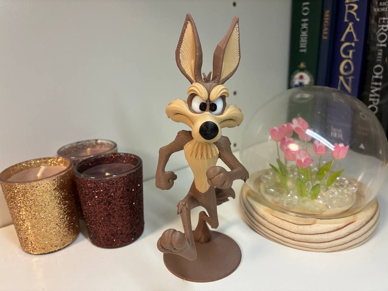 Willy il Coyote - Willy the Coyote — vue 1